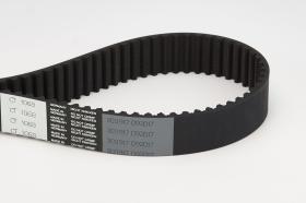 CONTINENTAL CORREAS CT1068 - TIMING BELT