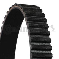 CONTINENTAL CORREAS CT617 - TIMING BELT