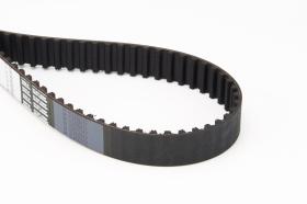 CONTINENTAL CORREAS CT987 - TIMING BELT