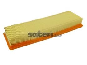 FRAM FILTROS CA10251 - FILTER ENGINE AIR CA10251 FRM