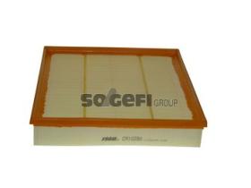 FRAM FILTROS CA10290 - FILTER ENGINE AIR CA10290 FRM BOX