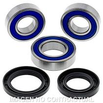 ALL BALLS RACING 251458 - KIT DE RODAMIENTOS RUEDA TRASERO GAS GAS